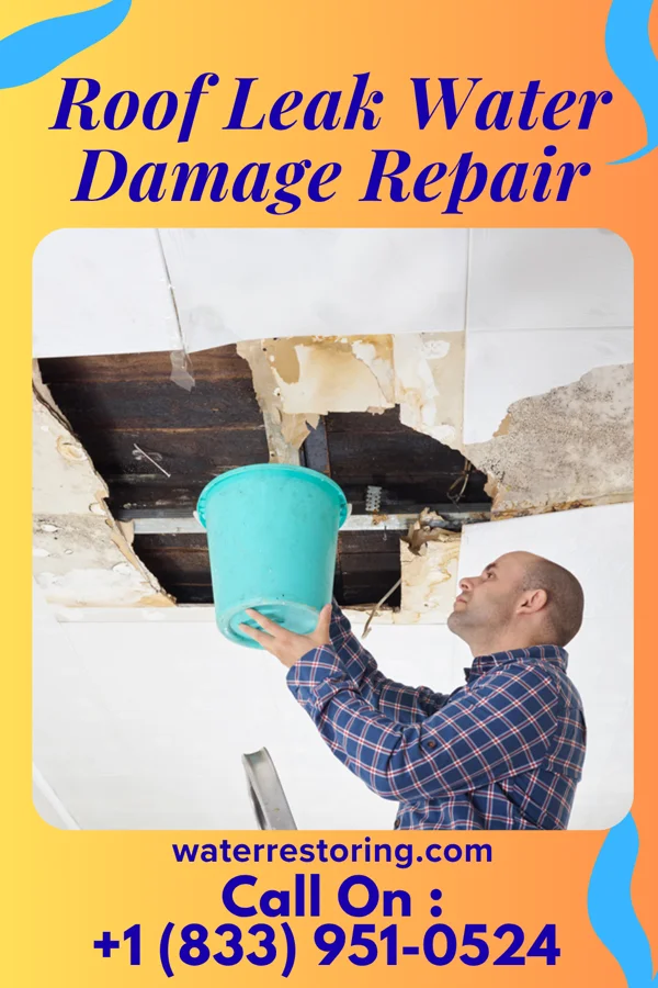 Roof Leak Water Damage Repair in Pecan Acres, TX